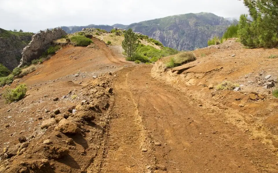 Madeira: movimento organiza concentração ecologista contra teleférico entre Curral das Freitas e Jardim da Serra