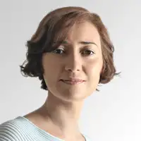 A longa odisseia pela paz