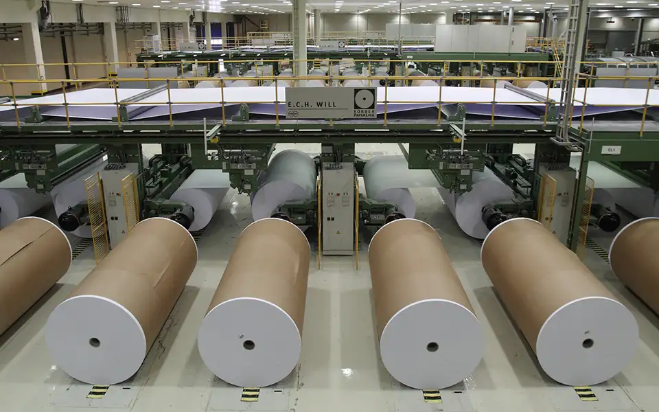 Falta de matéria-prima ameaça sustentabilidade do sector da pasta e papel