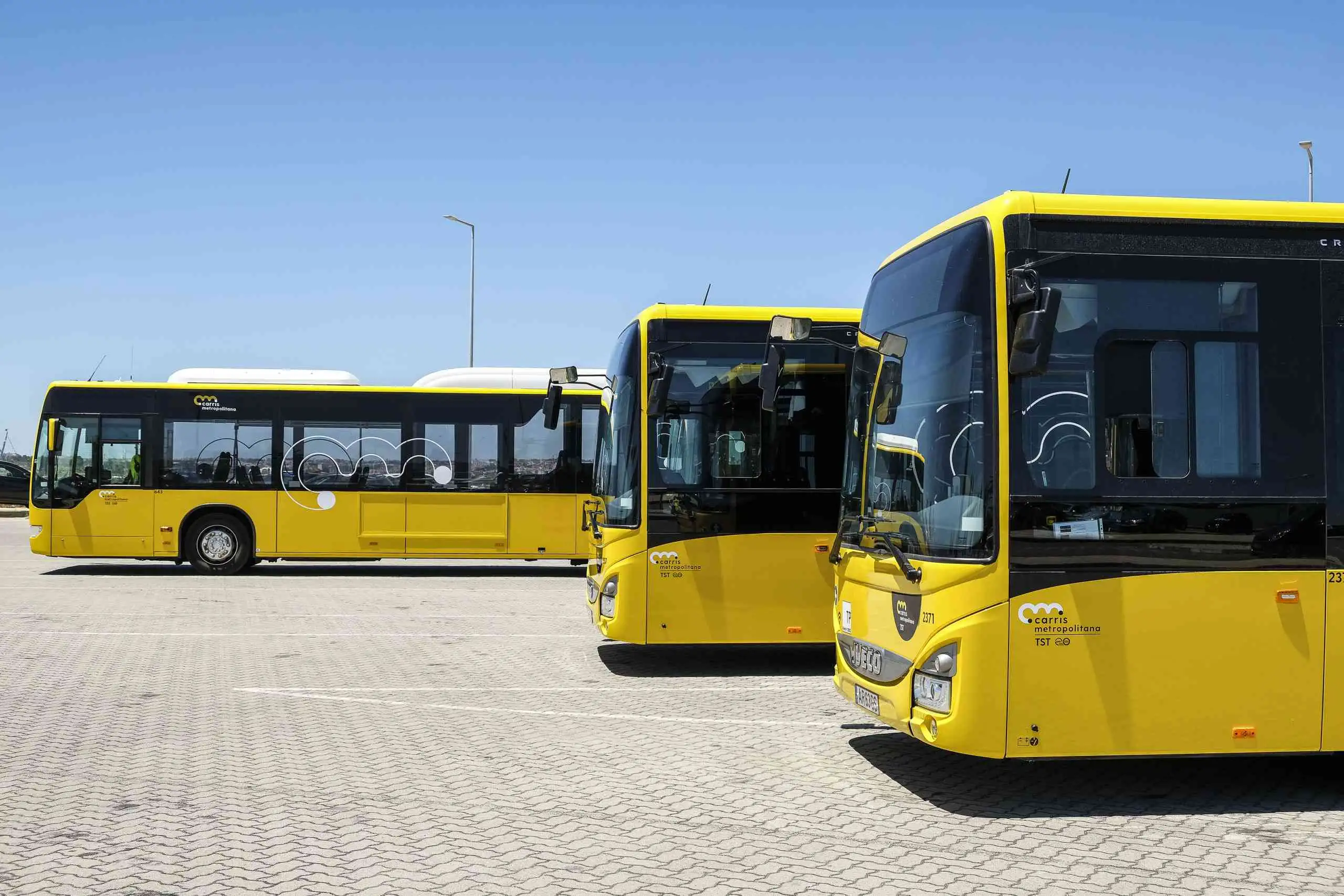 Sindicatos apoiam Carris Metropolitana mas há quem questione privados