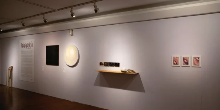 Dica: visite quatro exposições com entrada gratuita no Centro de Florianópolis