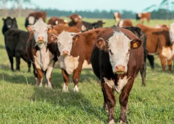 “Economia: Desafios e Inovações em Tempos Conturbados”