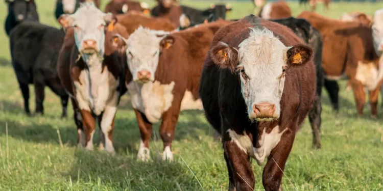 “Economia: Desafios e Inovações em Tempos Conturbados”