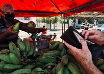 “A importância da economia no desenvolvimento de um país”