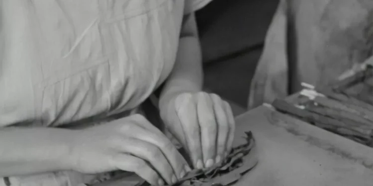 “Descobrindo o lado positivo da economia”