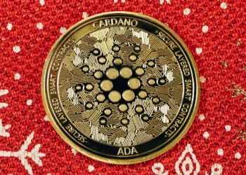 “Desmistificando as Finanças: Dicas para uma Vida Financeira Saudável”