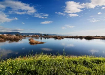 “O Futuro do Mercado Imobiliário na Costa del Sol”