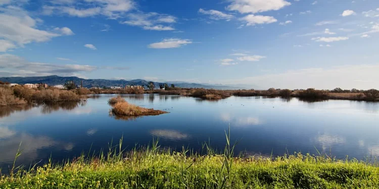 “O Futuro do Mercado Imobiliário na Costa del Sol”