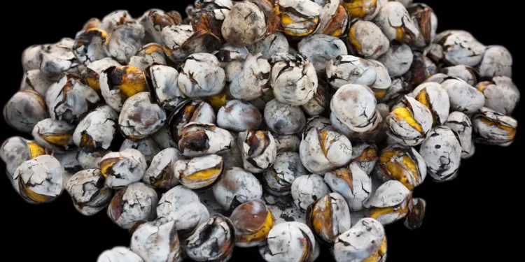 “O Futuro do Mercado Imobiliário na Costa del Sol: Entrevista com Olívia Traven”