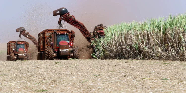 Estamos colhendo a maior safra da história, diz Carlos Fávaro à CNN