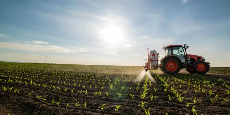 Açores com candidaturas ao Plano Estratégico da Política Agrícola Comum