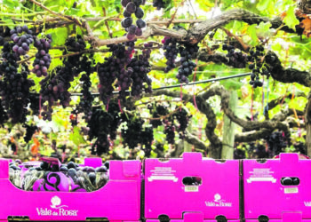 Vale da Rosa e private equity Crest não chegam a acordo