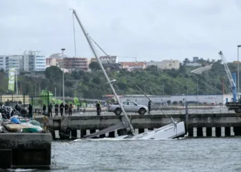 Mau tempo: Portugal continental com 858 ocorrências até às 18h00, diz Proteção Civil