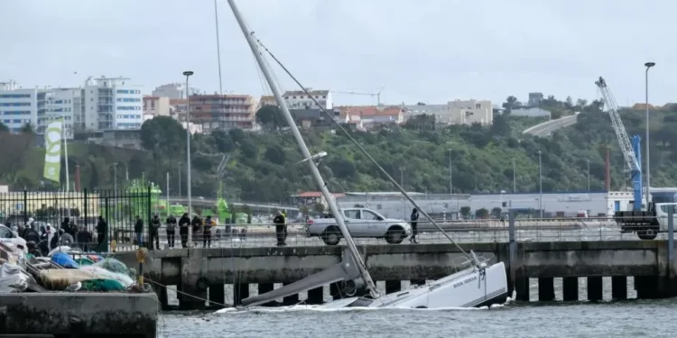 Mau tempo: Portugal continental com 858 ocorrências até às 18h00, diz Proteção Civil