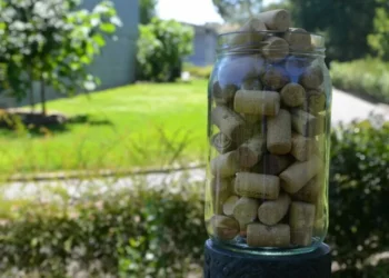 Projeto de reciclagem de rolhas da Lipor gera impacto económico e ambiental em 2024