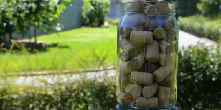 Projeto de reciclagem de rolhas da Lipor gera impacto económico e ambiental em 2024