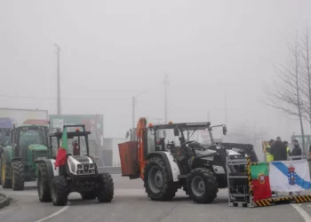 Tarifas: Agricultores defendem aposta na produção nacional