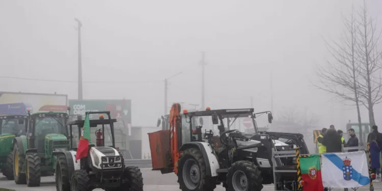 Tarifas: Agricultores defendem aposta na produção nacional