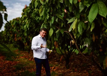 ‘Rei do Cacau’ quer revolucionar setor a partir do Brasil
