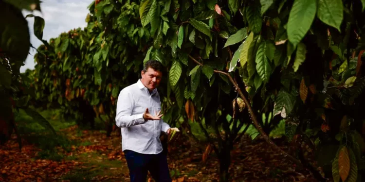 ‘Rei do Cacau’ quer revolucionar setor a partir do Brasil