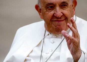 Associação Zero recorda papel do Papa na área da sustentabilidade