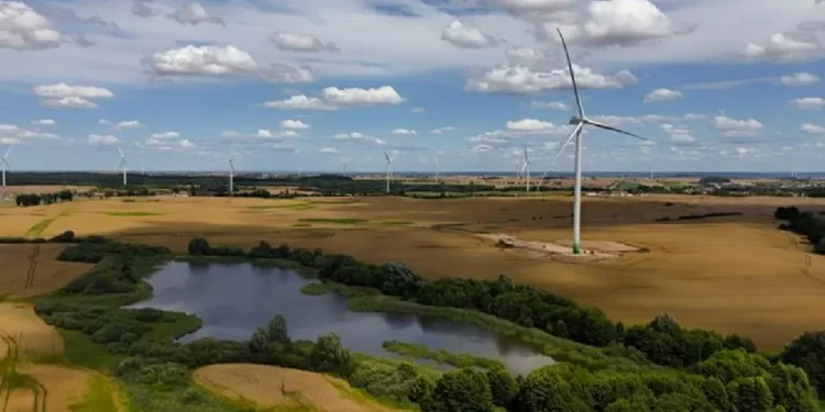 Greenvolt vende parque eólico ao Grupo Enea por 174 milhões