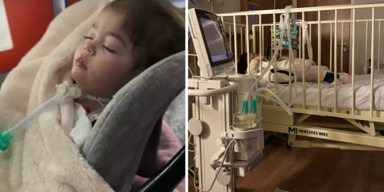 Letícia Cazarré revela conselho que recebeu do Papa Francisco