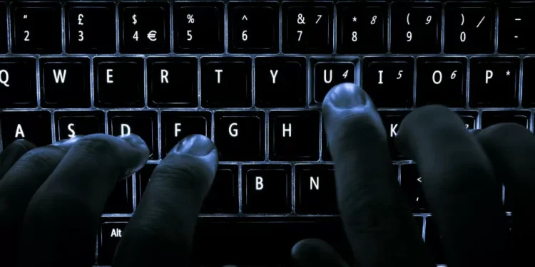 NOVA IMS e Tribunal de Contas criam modelo inovador de auditoria com ciência de dados