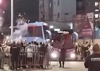 Técnico do Botafogo comemora gol na Libertadores com gesto obsceno; veja