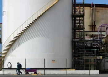 Gripe aviária: há 17 investigações de suspeita da doença em andamento