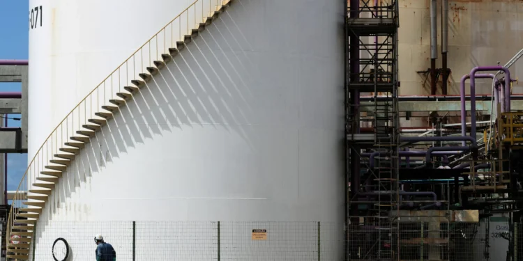 Gripe aviária: há 17 investigações de suspeita da doença em andamento