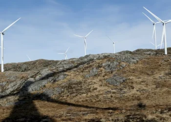 Governo aponta “resultados muito positivos” na transição energética