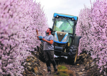 IR Capital investe 10 milhões na Veracruz