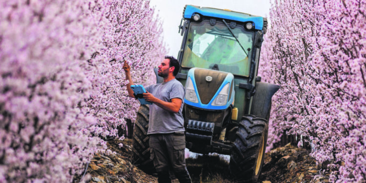 IR Capital investe 10 milhões na Veracruz