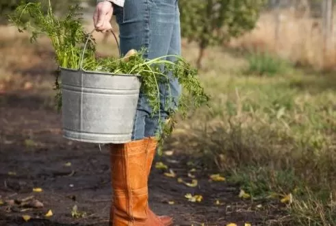 CONFAGRI alerta para necessidade de reforço orçamental no investimento do PEPAC