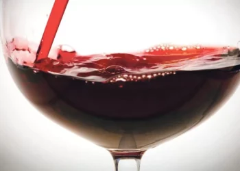 Adega de Borba com últimos anos “acima da média” com 17 milhões de litros de vinho