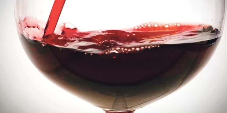 Adega de Borba com últimos anos “acima da média” com 17 milhões de litros de vinho