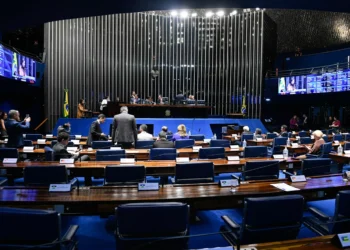 PDT no Senado anuncia que permanece na base do presidente Lula