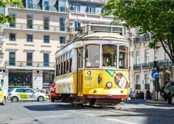 Carris quer criar até 2030 novo plano de rede para melhorar transporte em Lisboa