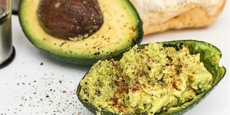 Trops investe nove milhões em centro de produção de abacates em Tavira e Portugal representa 40% da produção ibérica