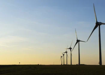 Energia eólica cresce, mas Portugal continua longe das metas climáticas