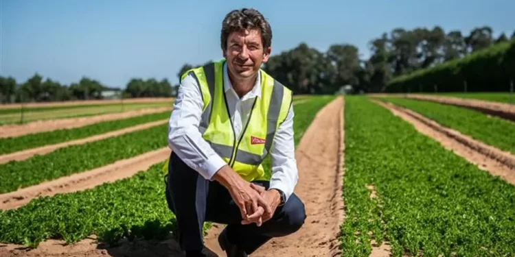 Vitacress quer crescer no mercado espanhol até ao fim da década