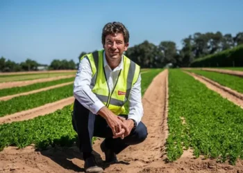 Vitacress quer crescer no mercado espanhol até ao fim da década