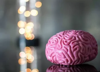 Biocodex Foundation lança Bolsa Nacional de Investigação em Microbiota 2025