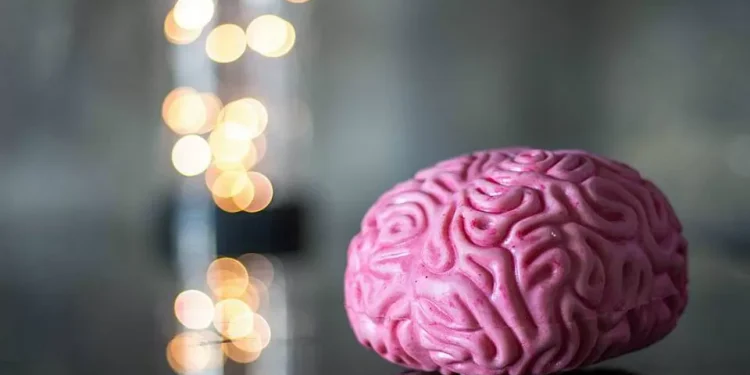 Biocodex Foundation lança Bolsa Nacional de Investigação em Microbiota 2025