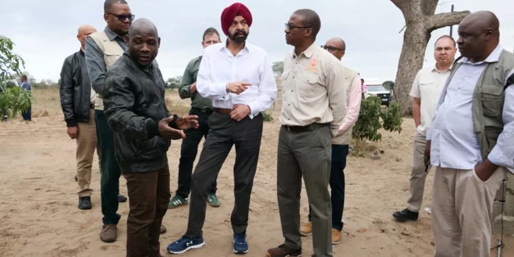 Presidente do Banco Mundial anuncia parceria a cinco anos com Moçambique