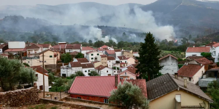 Hotelaria e restauração alertam para impacto dos incêndios e pedem apoios