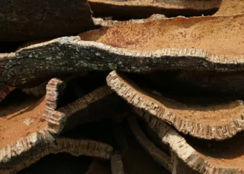 Cortiça aplaude acordo UE/EUA com “importância estratégica” para Portugal