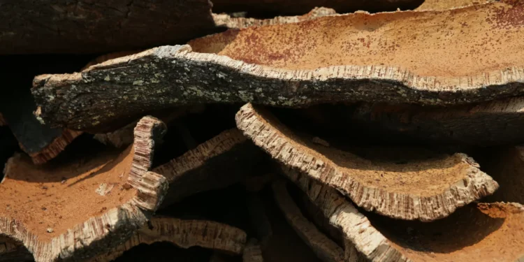 Cortiça aplaude acordo UE/EUA com “importância estratégica” para Portugal