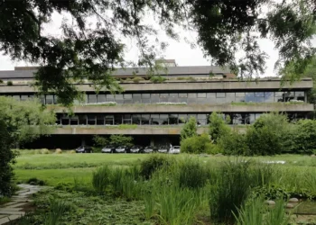 Gulbenkian financia projetos para promover boas práticas de gestão da água na agricultura